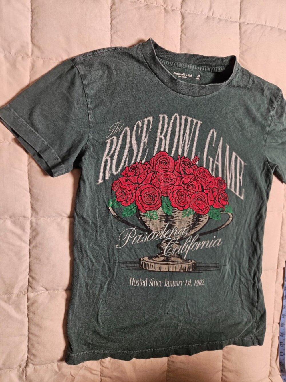 Abercrombie Gray Rose Bowl Graphic T-Shirt XS